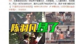 王搏被人爆料视频大全最新,揭秘网络爆料背后的真相与争议